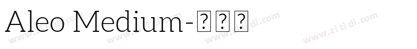 Aleo Medium字体转换
